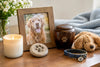 12 Pet Memorial Gift Examples That Bring Comfort